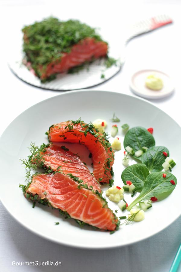 Stained in Gin Salmon in herbal coat #recipe #gourmetguerilla 