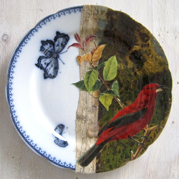 Little Owl In-Can Plate